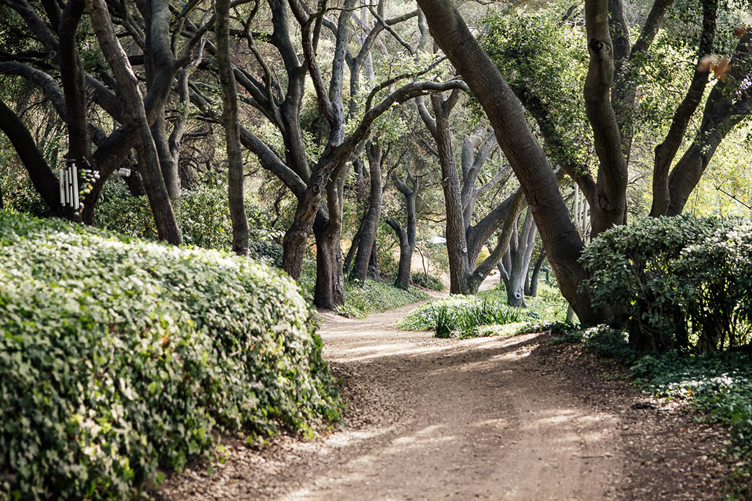 Golden Door gallery 2