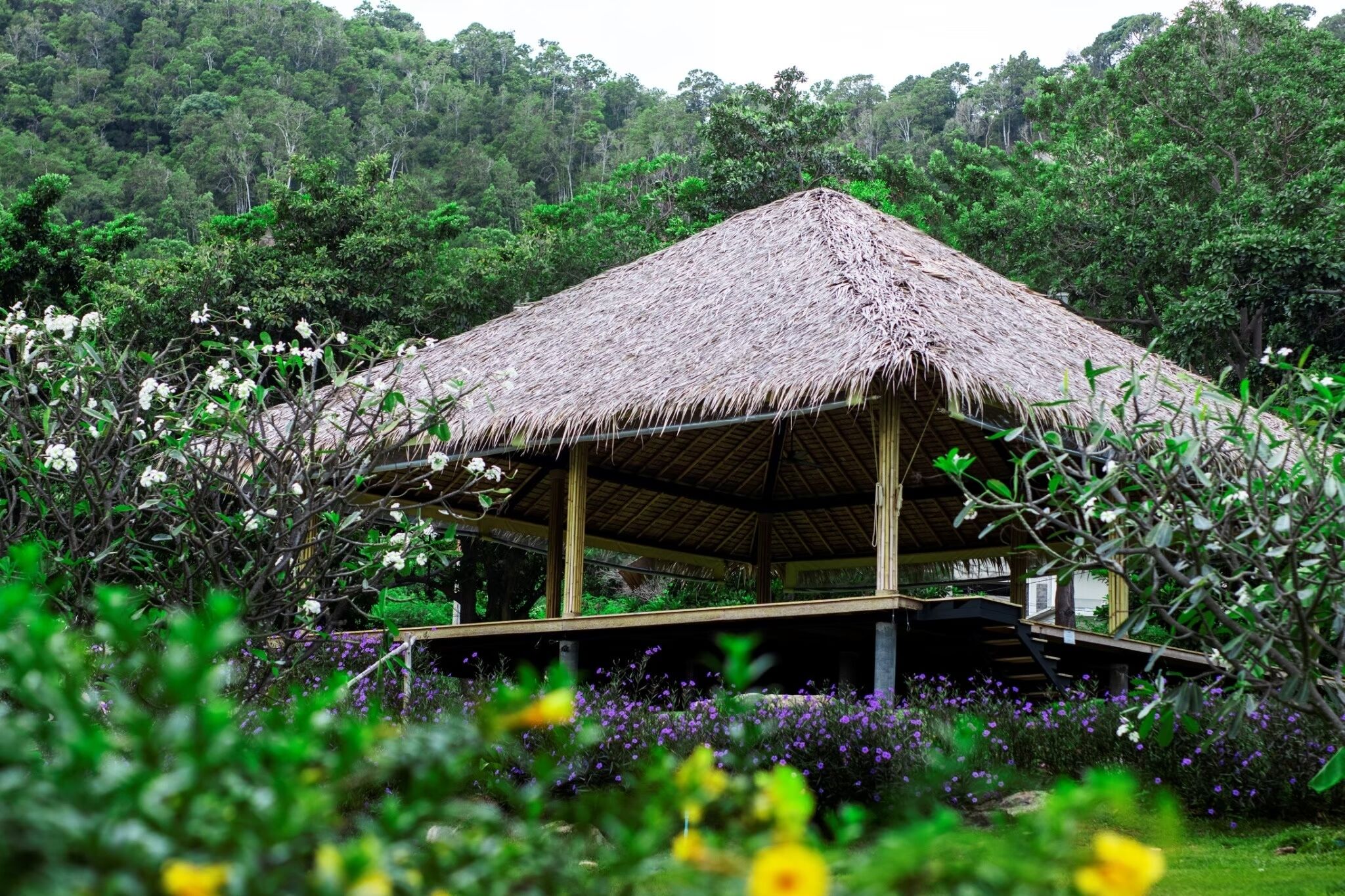 Absolute Sanctuary gallery 1